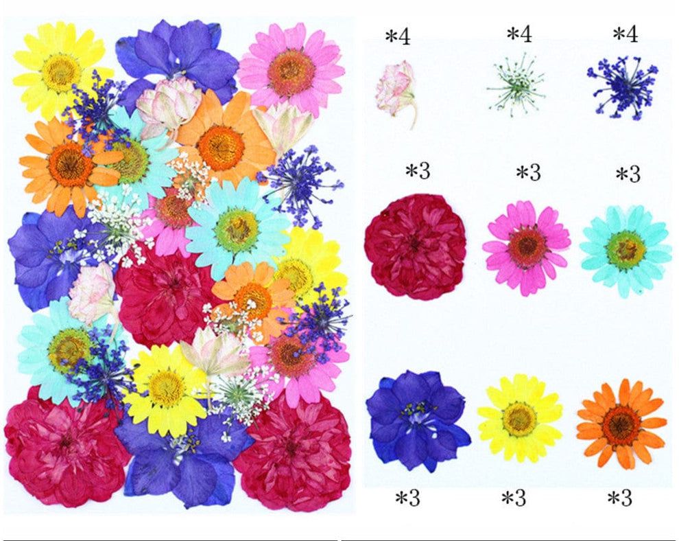 Pressed Flowers