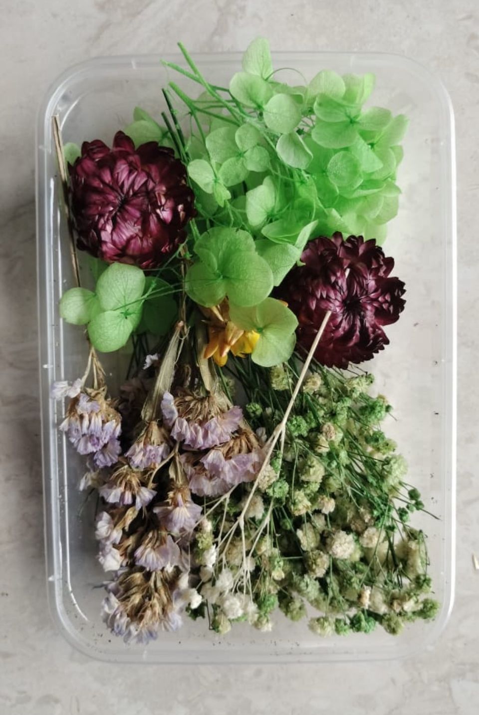 Dry Flower box