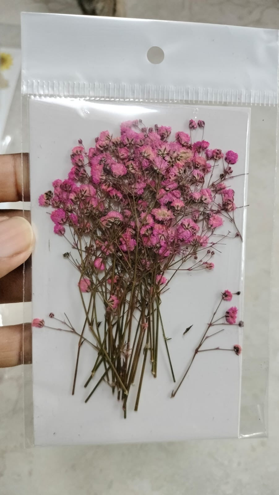 Baby Breath Pressed Flowers